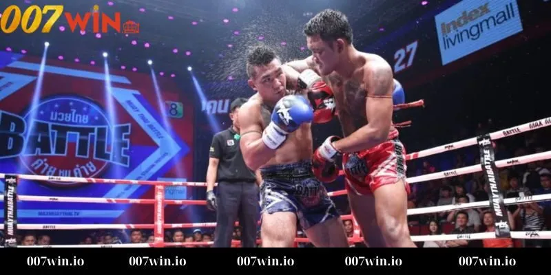 Cá cược boxing