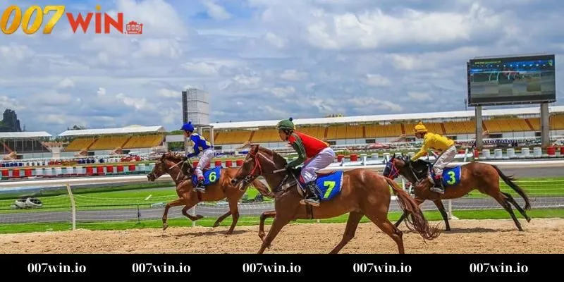 Cá cược đua ngựa