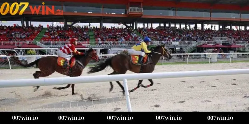 Chiến lược cá cược đua ngựa hiệu quả