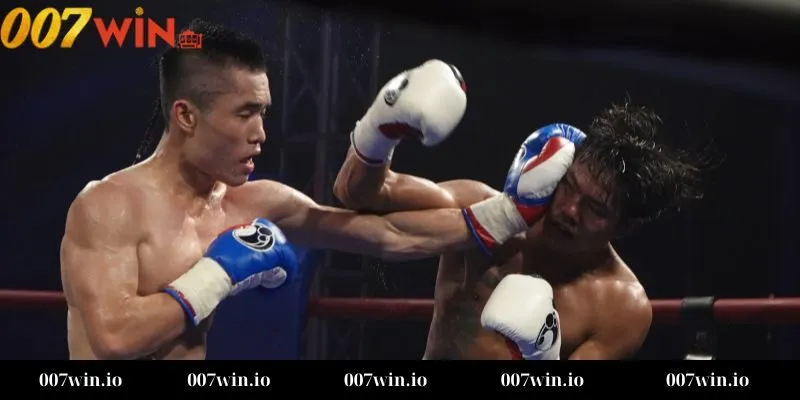 Những loại kèo phổ biến trong cá cược boxing