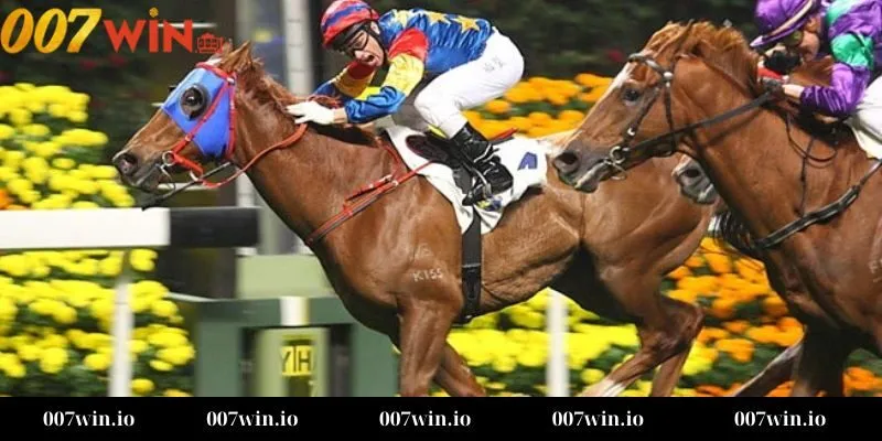 Các loại cược phổ biến trong cá cược đua ngựa