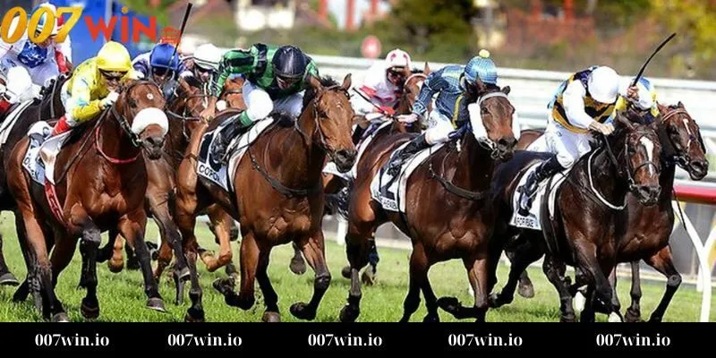 Tại sao cá cược đua ngựa lại hấp dẫn tại 007WIN?